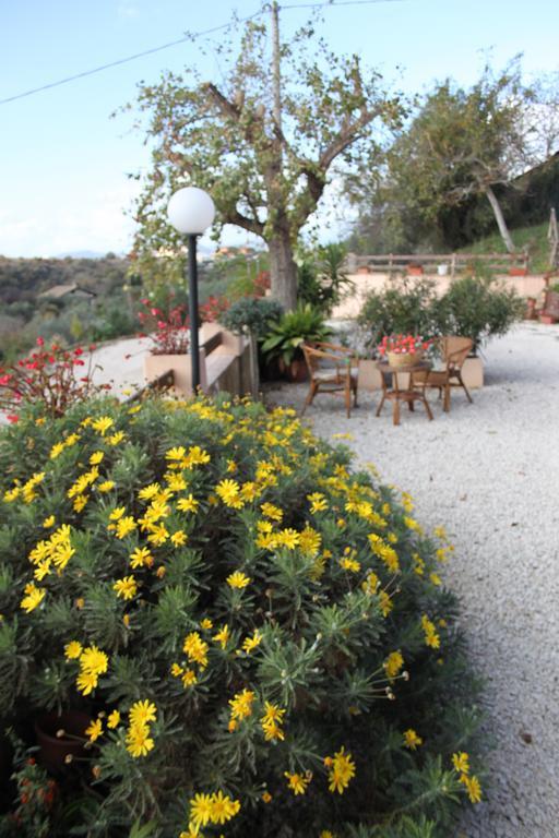 Il Pioppo Bed & Breakfast Veroli Екстериор снимка